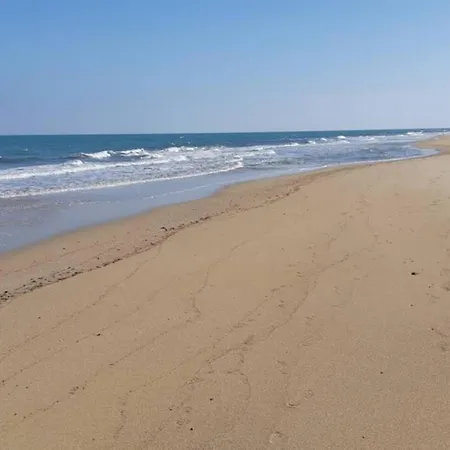 Levante * Monopoli