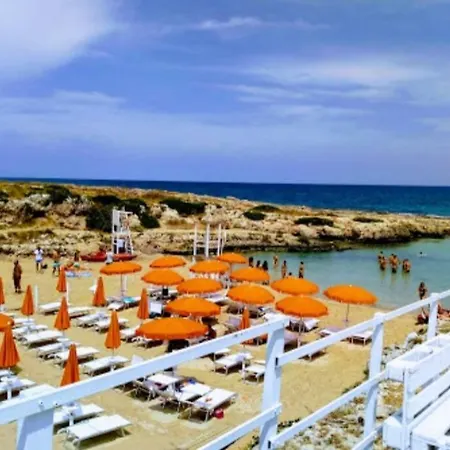 Levante *